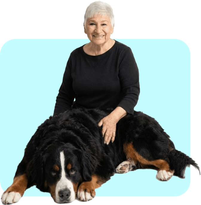 Forever Ben website feature graphic reflecting the themes of pet companionship, love, and lasting memories.